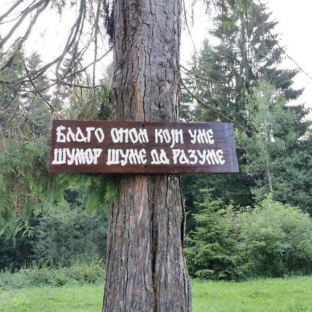 Apartman Bugar Mitrovac Exteriör bild