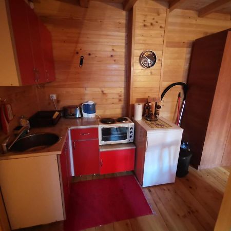 Apartman Bugar Mitrovac Exteriör bild