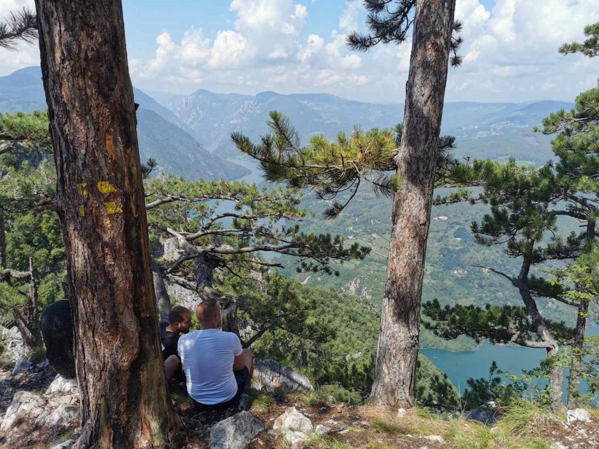 Apartman Bugar Mitrovac Exteriör bild
