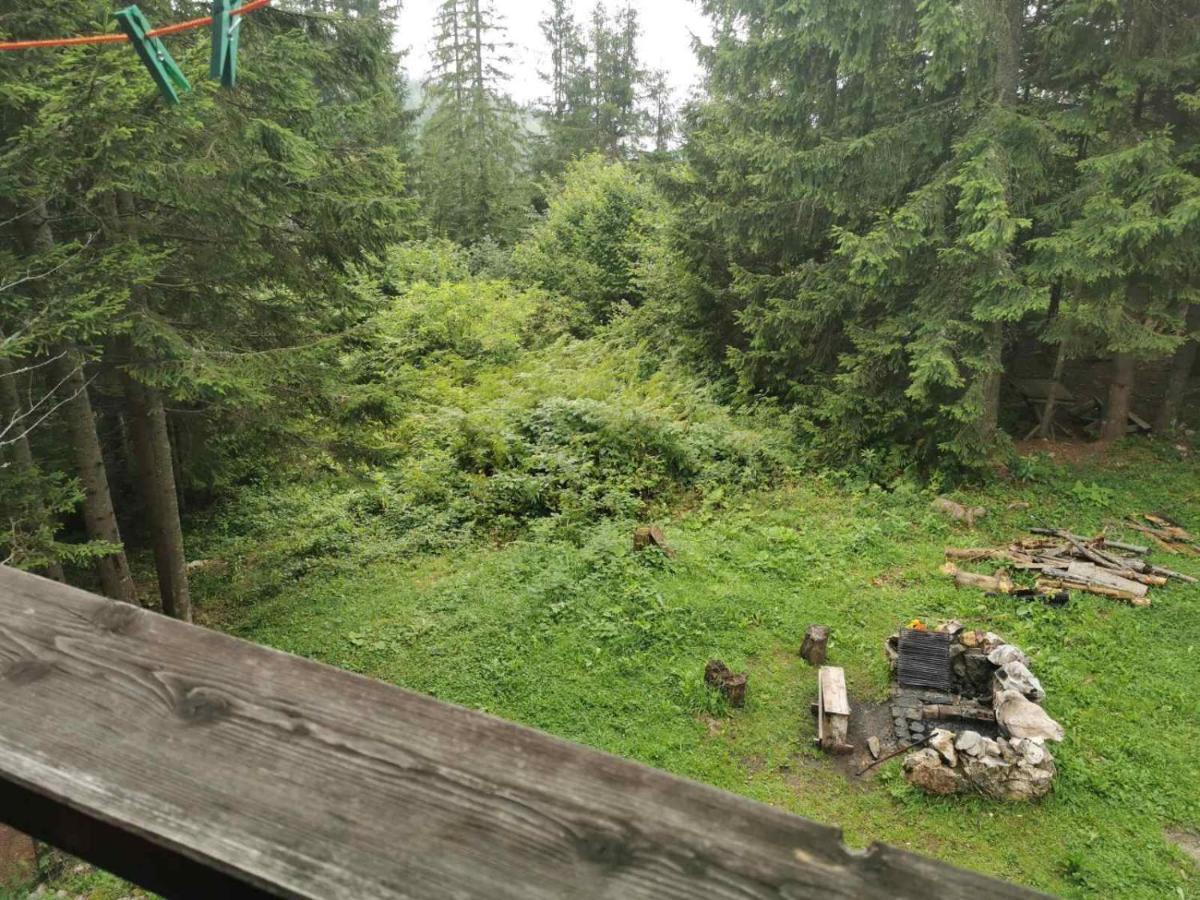 Apartman Bugar Mitrovac Exteriör bild
